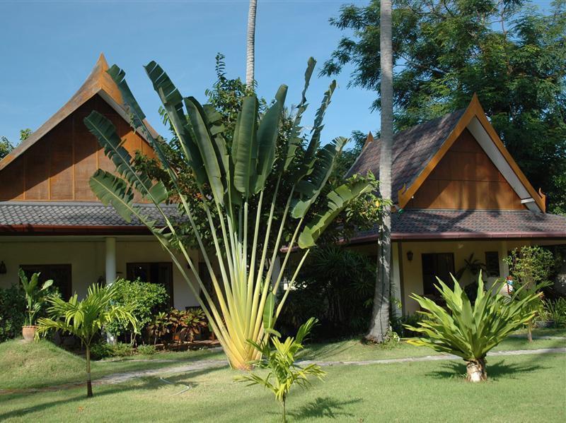 Palm Garden Resort Rawai Exterior foto